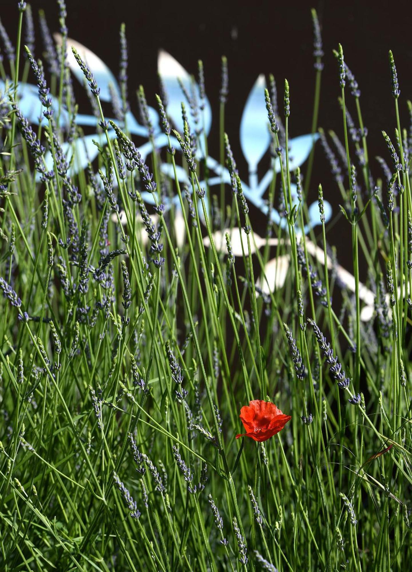 Bed and Breakfast Bastide des Demoiselles Roussillon en Isere Exterior foto